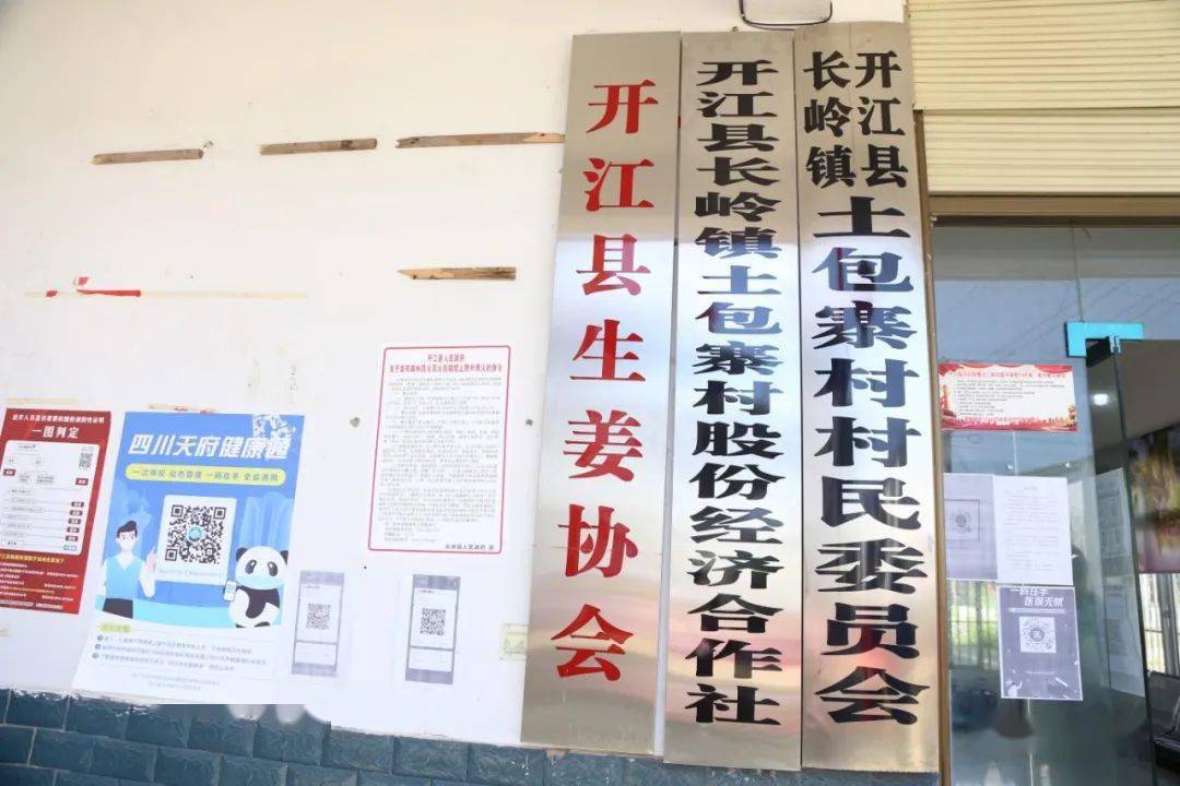 枞阳县金社发展呈现双刃剑效应的最新消息分析