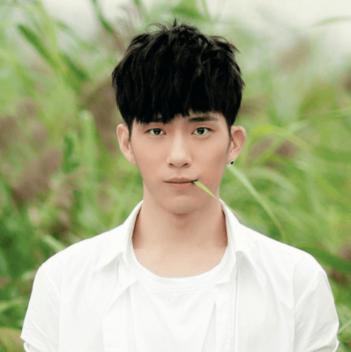 张翰杨洋郑爽最新动态，星光背后的励志故事与自信成就之源