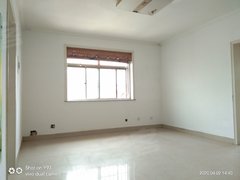 坊子新区二手房市场深度解析，最新动态与观点阐述