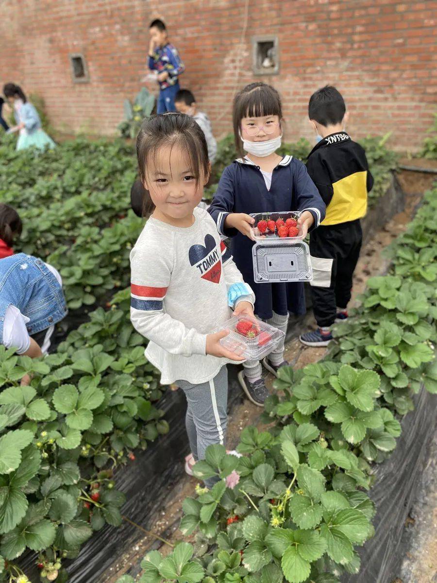 小伴龙最新版下载，开启智慧学习之旅，体验自信与成就感的拥抱