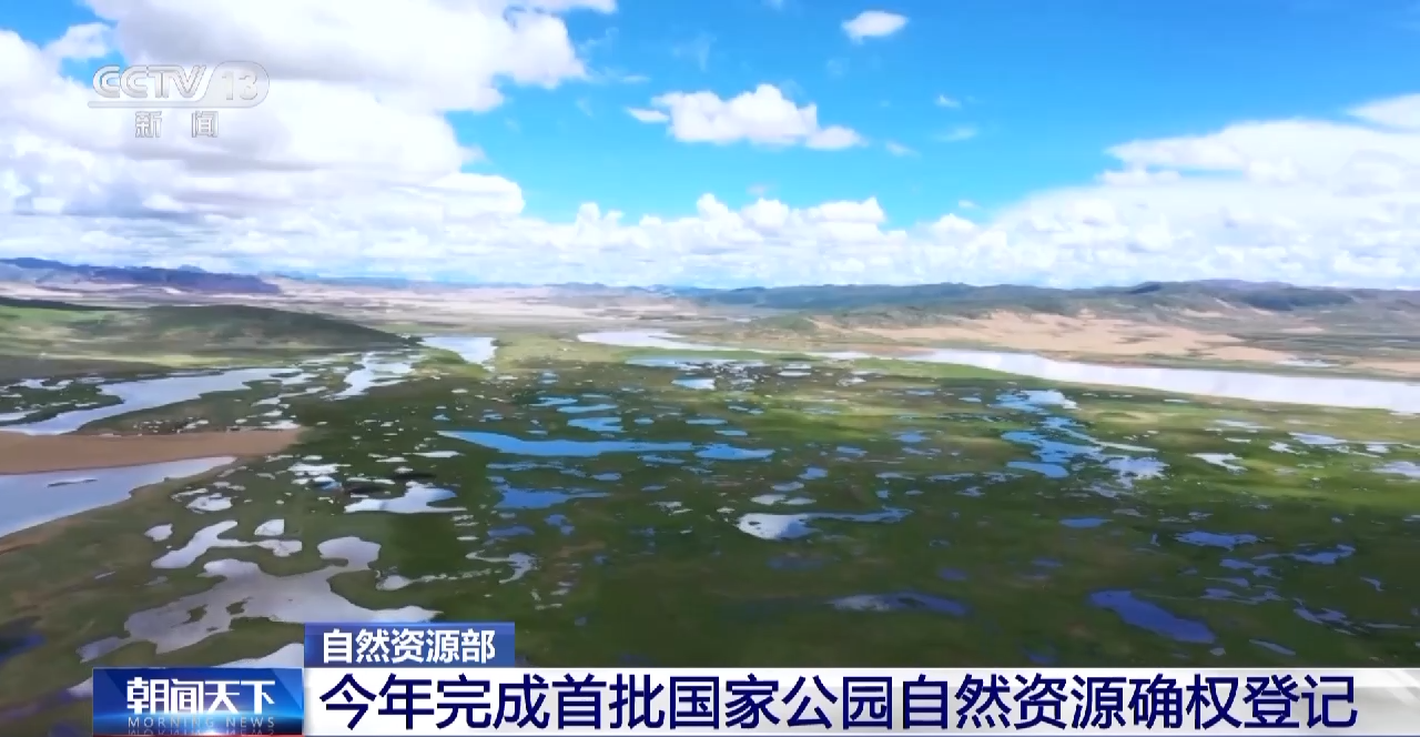 文化艺术交流与策划 第5页
